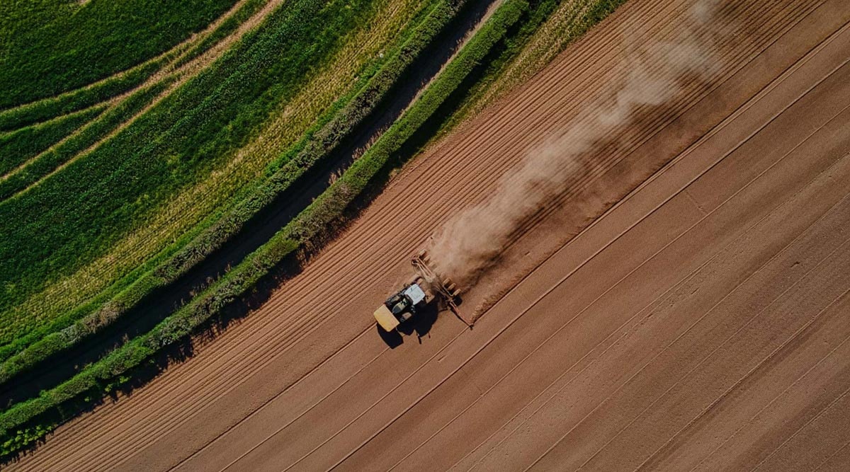 Agriculture loans